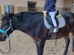 4627473791006804494580832267686996354751724n